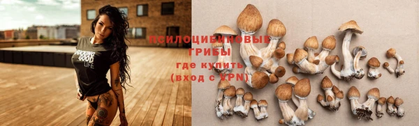 гашик Осинники