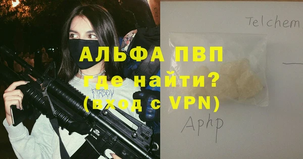 гашик Осинники