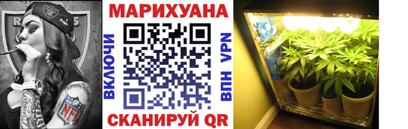 Шишки марихуана SATIVA & INDICA  где можно купить   Кола 