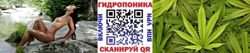 Шишки марихуана THC 21% Кола